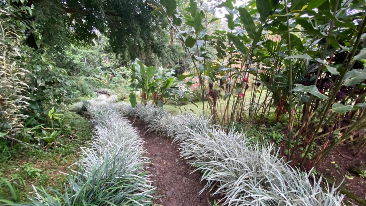 Santa Maria Volcano Lodge Hacienda Santa María Bagian luar foto