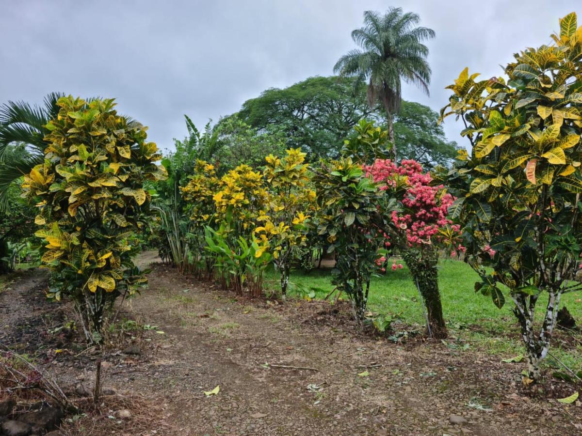 Santa Maria Volcano Lodge Hacienda Santa María Bagian luar foto