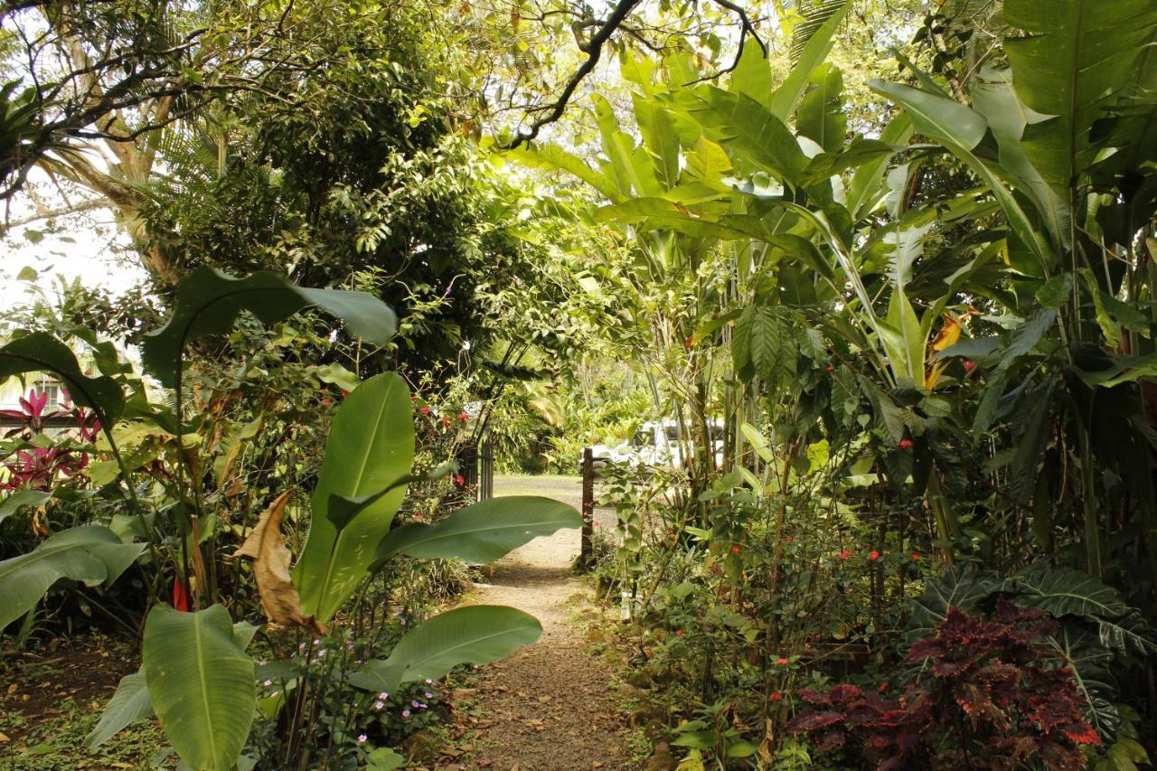 Santa Maria Volcano Lodge Hacienda Santa María Bagian luar foto