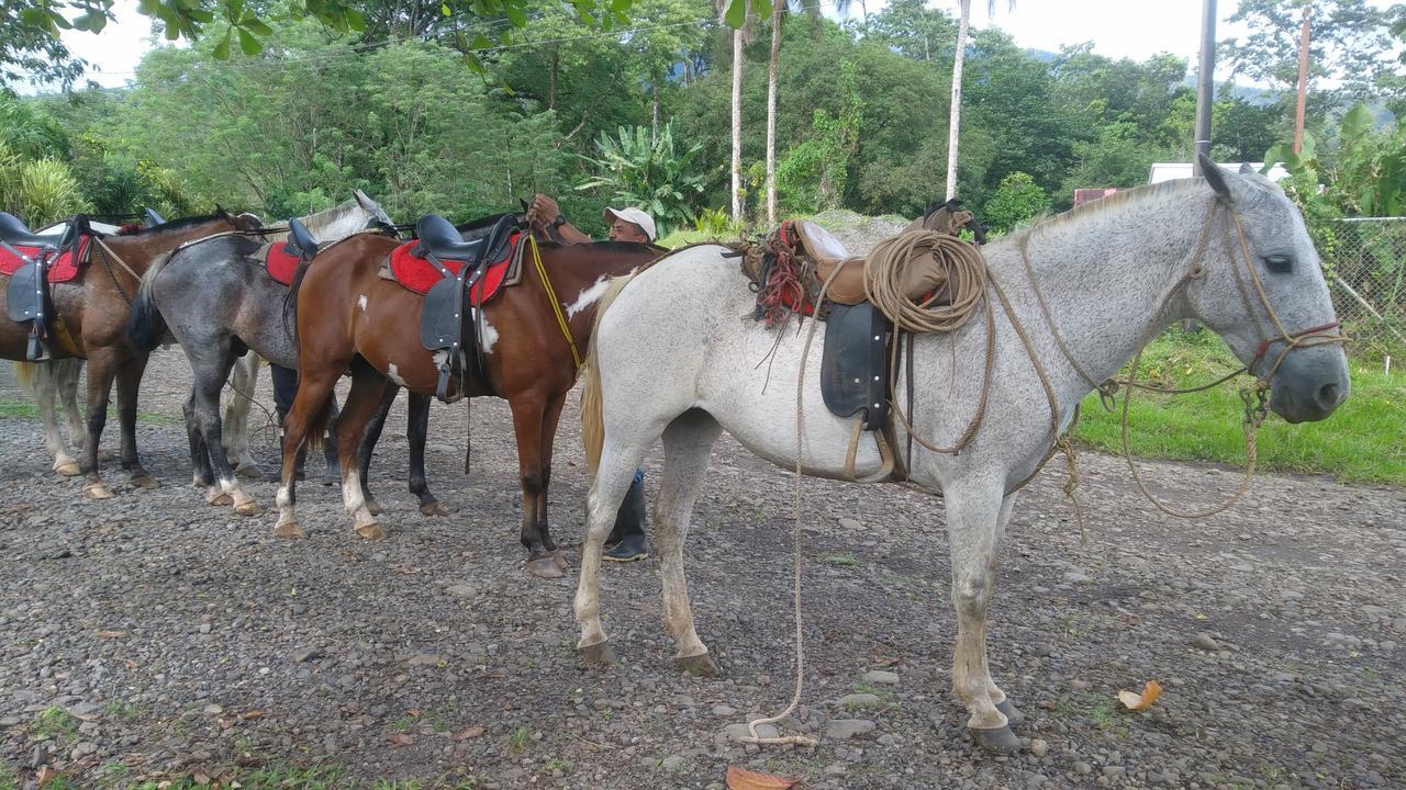 Santa Maria Volcano Lodge Hacienda Santa María Bagian luar foto